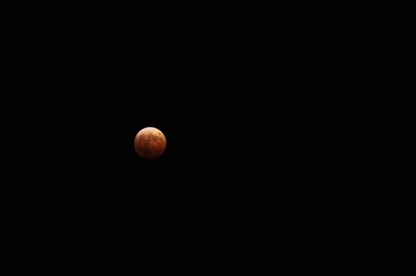 _DSC0119