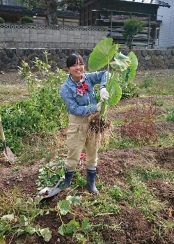 里芋②