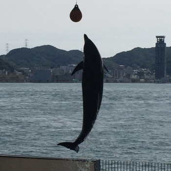 海響館