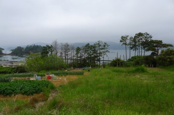 05_丘の上から湾を見下ろす